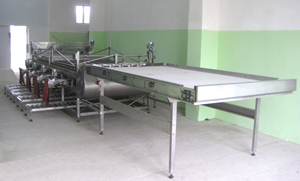 Sorting machine - general view